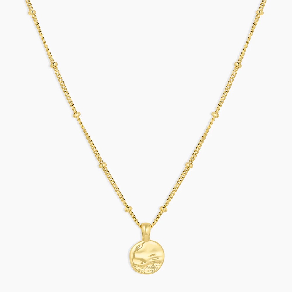 New Gorjana Shorebreak Necklace